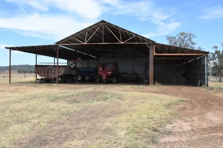 Fourth view of Homely rural property listing, 'East Karinya'  Wool Rd, Mullaley NSW 2379