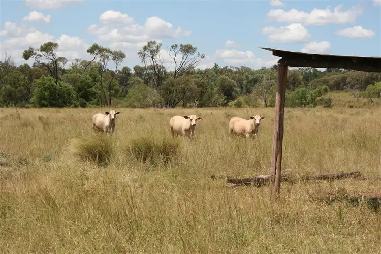 Main view of Homely rural property listing, . Spring Road, Boolburra QLD 4702