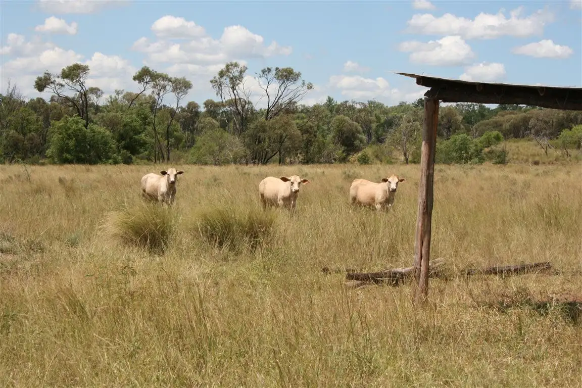 Main view of Homely rural property listing, . Spring Road, Boolburra QLD 4702
