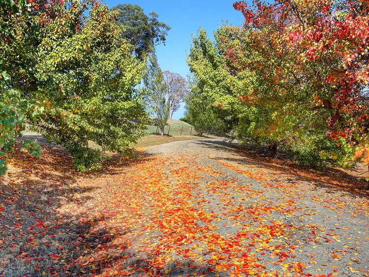 Third view of Homely rural property listing, 25 Springhill Gr, Sutton Forest NSW 2577