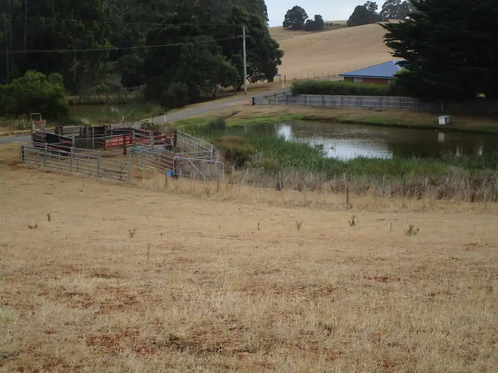 Main view of Homely rural property listing, - Bretts Road, North Motton TAS 7315
