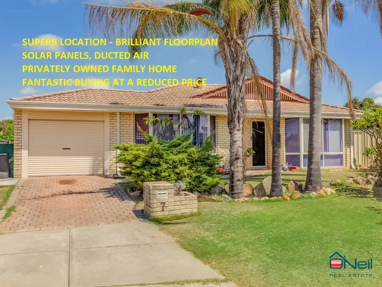 Main view of Homely house listing, 7 Silda Place, Gosnells WA 6110
