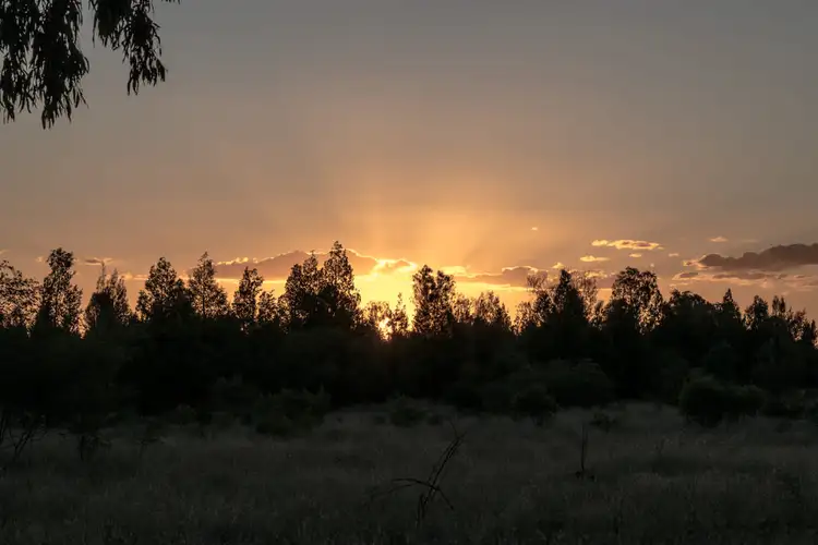 LOT 82 COMMUNITY LANE, Tara QLD 4421