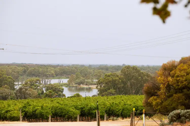 Second view of Homely house listing, 307 Farley Rd, Kingston On Murray SA 5331