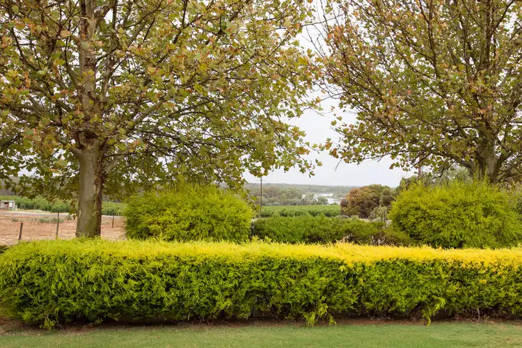 Third view of Homely house listing, 307 Farley Rd, Kingston On Murray SA 5331