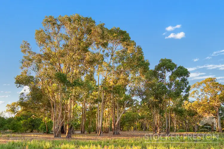 Main view of Homely land listing, 23 Tempest View, Quindalup WA 6281