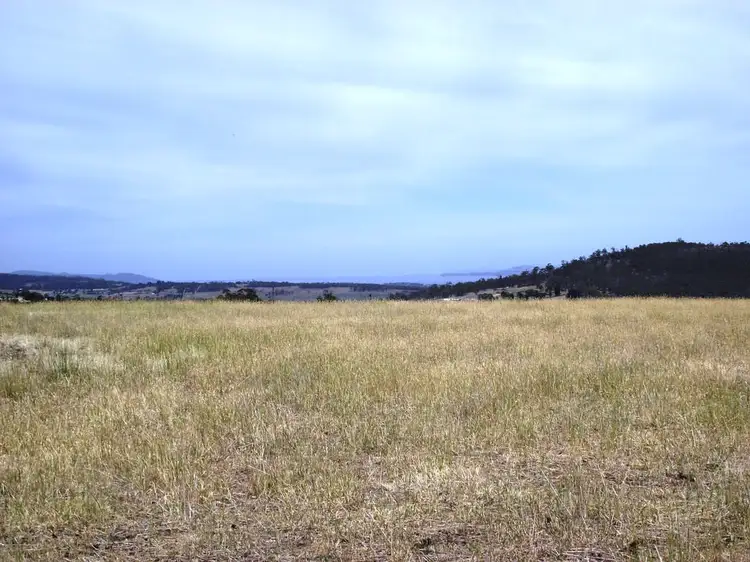 Fourth view of Homely rural property listing, 531 Delmore Road, Wattle Hill TAS 7172