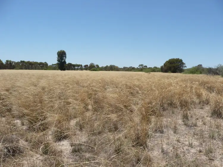 Fourth view of Homely rural property listing, Lot 266 Carr Road, Kokeby WA 6304