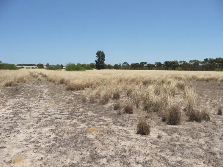 Seventh view of Homely rural property listing, Lot 266 Carr Road, Kokeby WA 6304