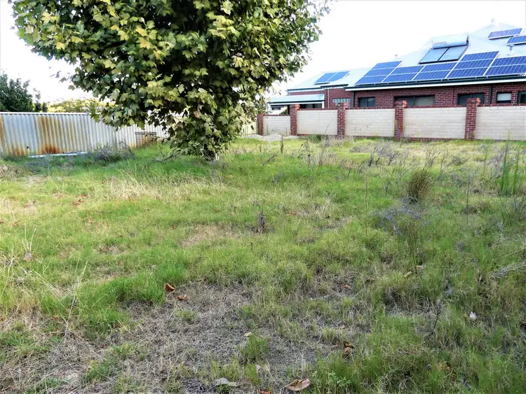 43 Blackbird Ave, Gwelup WA 6018