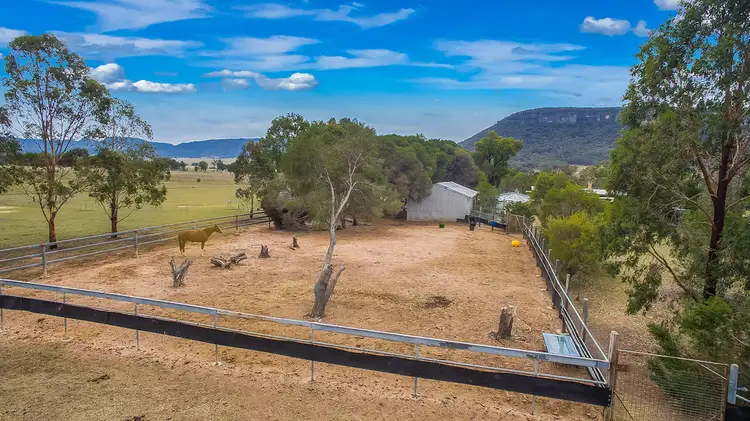 Fourth view of Homely rural property listing, 1905 Dunville Loop Road, Bogee NSW 2849