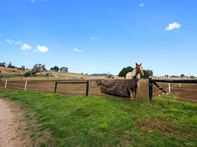 Main view of Homely rural property listing, 149 West Nook Road, Sheffield TAS 7306