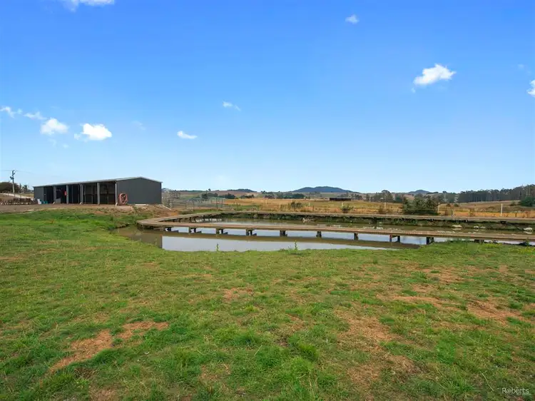 Fourth view of Homely rural property listing, 149 West Nook Road, Sheffield TAS 7306