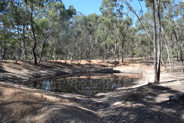 Seventh view of Homely rural property listing, 304 Landsborough Road, Landsborough VIC 3384