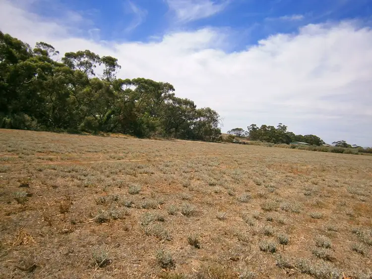 Third view of Homely house listing, 523 Black Hill Road, Cambrai SA 5353