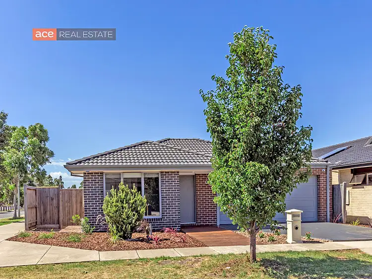 Third view of Homely house listing, 24 Ceratta Crescent, Tarneit VIC 3029