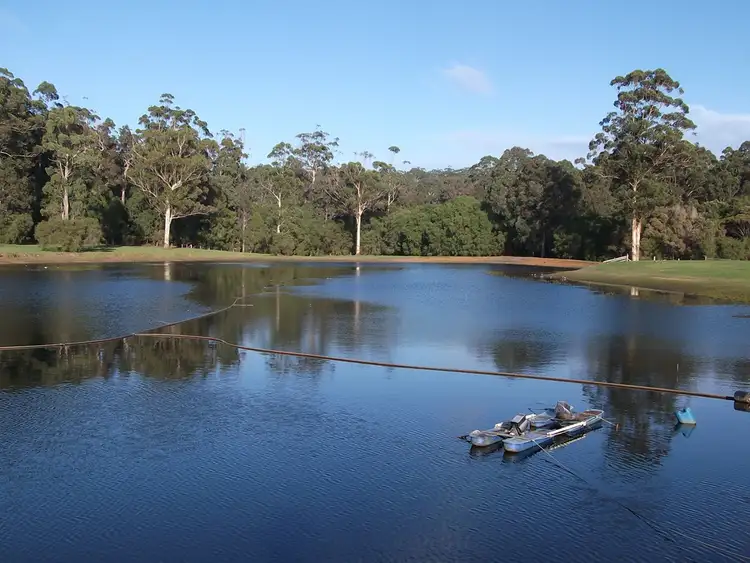 Second view of Homely rural property listing, 8 Callcup Road, Pemberton WA 6260