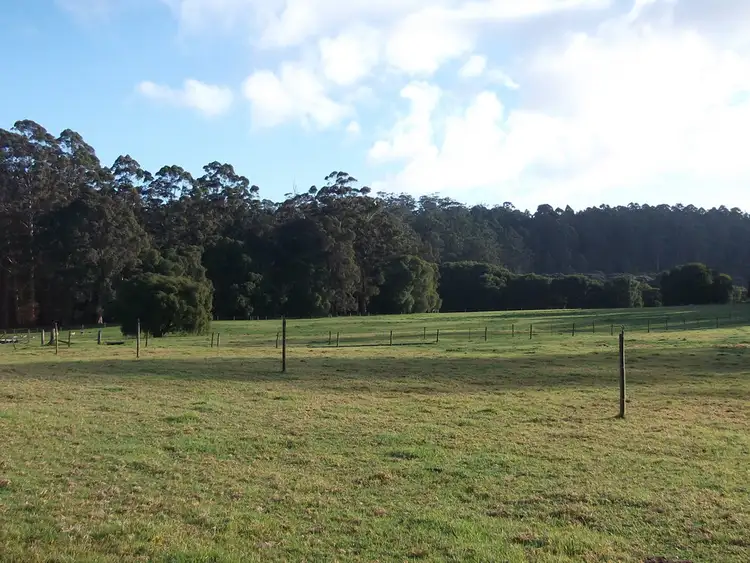Sixth view of Homely rural property listing, 8 Callcup Road, Pemberton WA 6260