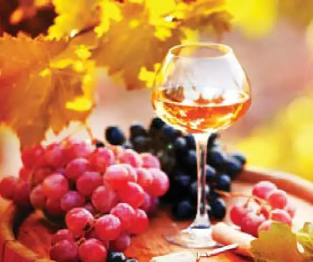 Fourth view of Homely land listing, 9A Queen Elizabeth Drive, Barmera SA 5345