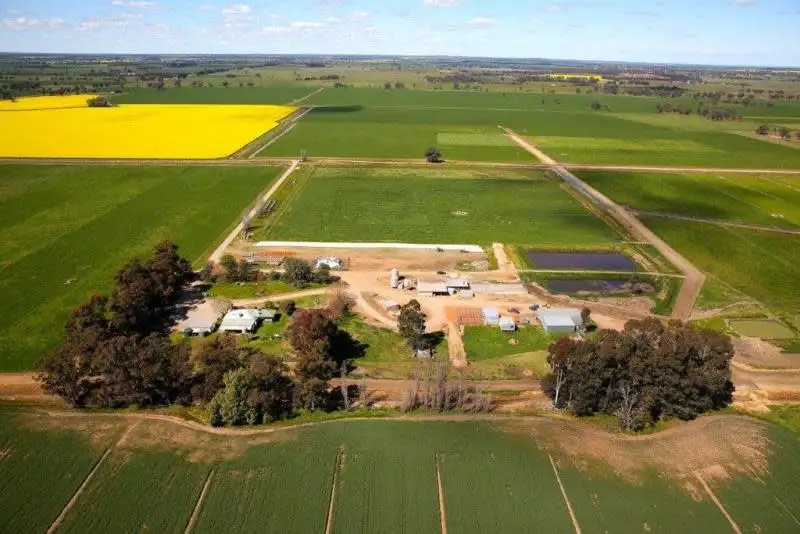 Main view of Homely rural property listing, "Tarcoola" 457 Piney Road, Berrigan NSW 2712