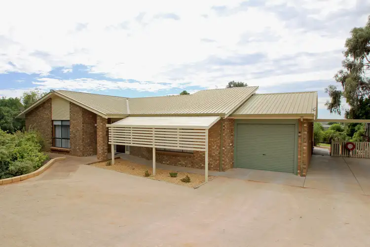 195 Chowilla Street, Renmark SA 5341
