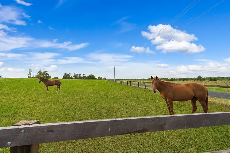 Seventh view of Homely land listing, 442 Cornwallis Road, Cornwallis NSW 2756