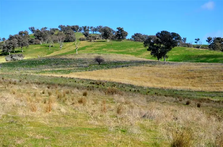 Main view of Homely rural property listing, 'Tanyard Creek' Stantons Road, Adelong NSW 2729