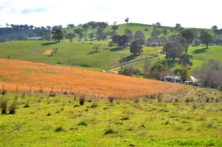 Fourth view of Homely rural property listing, 'Tanyard Creek' Stantons Road, Adelong NSW 2729