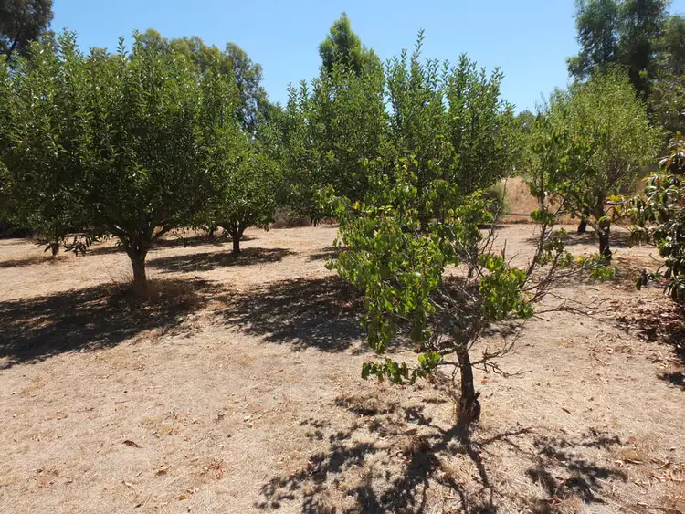 Fifth view of Homely rural property listing, 24 Marshall Lane, Barkly VIC 3384