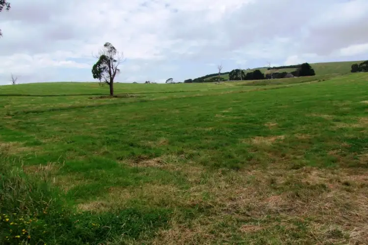 Fourth view of Homely rural property listing, 322 Buffalo-Stony Creek Road, Buffalo VIC 3958