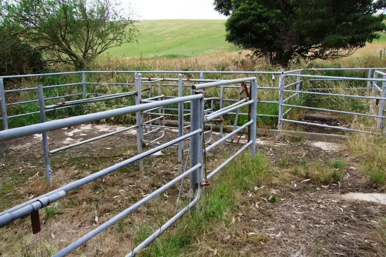 Fifth view of Homely rural property listing, 322 Buffalo-Stony Creek Road, Buffalo VIC 3958