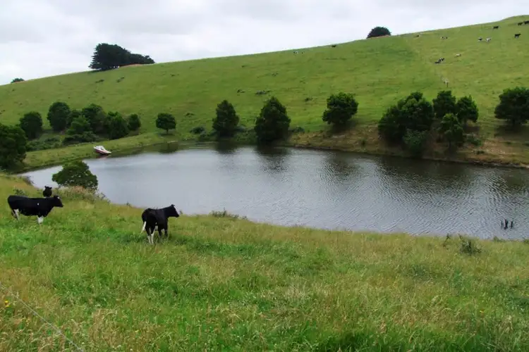 Sixth view of Homely rural property listing, 322 Buffalo-Stony Creek Road, Buffalo VIC 3958