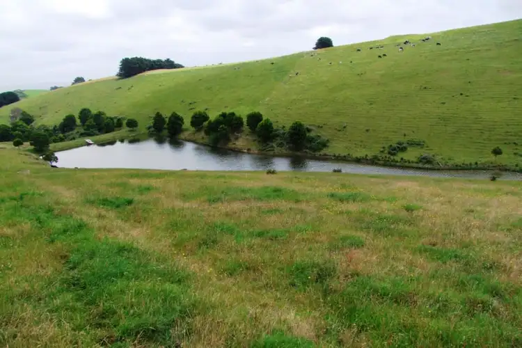 Seventh view of Homely rural property listing, 322 Buffalo-Stony Creek Road, Buffalo VIC 3958