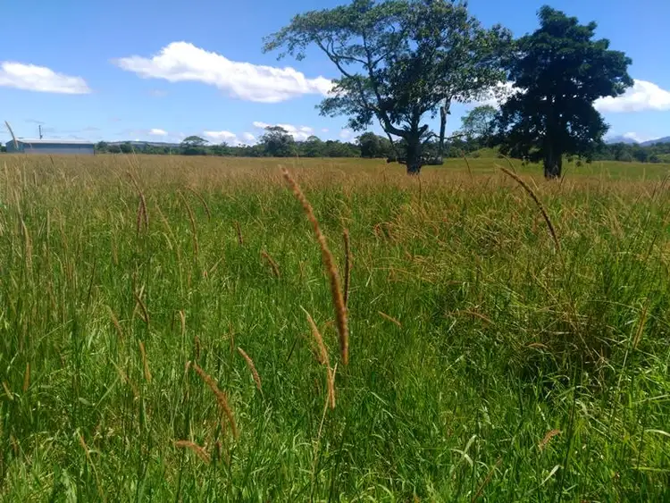 Sixth view of Homely rural property listing, Address available on request