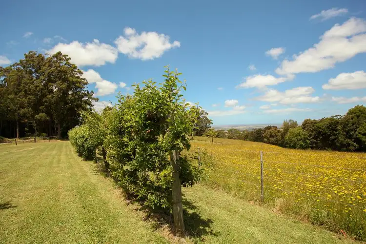 Main view of Homely rural property listing, 925 Tarra Valley Road, Devon North VIC 3971
