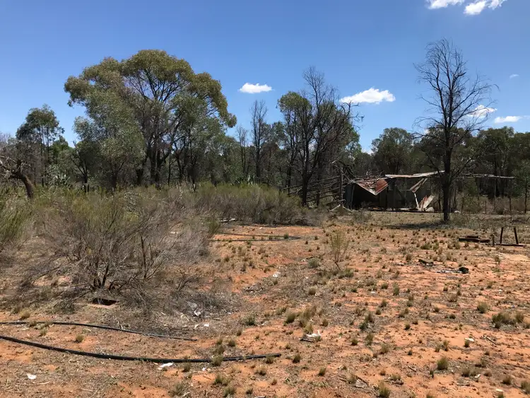 Second view of Homely rural property listing, 551 Box Ridge Road, Binnaway NSW 2395