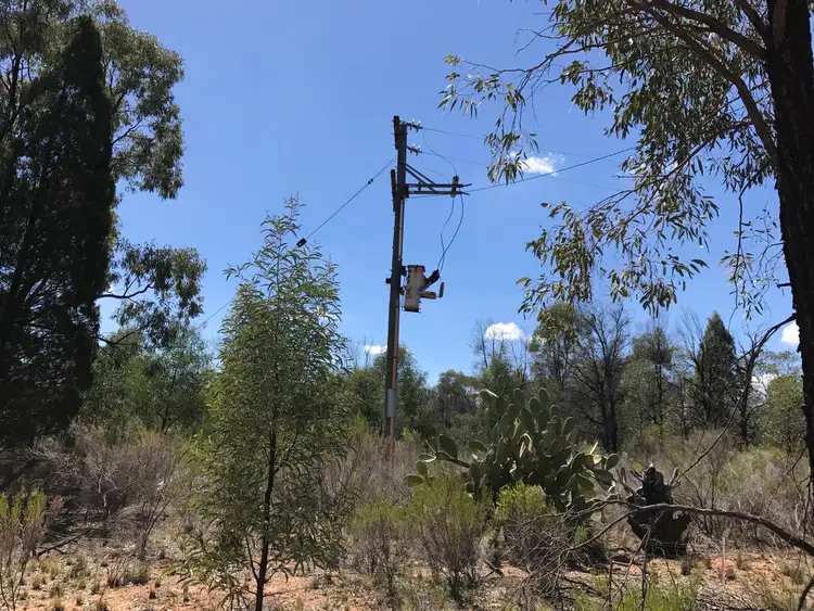Third view of Homely rural property listing, 551 Box Ridge Road, Binnaway NSW 2395
