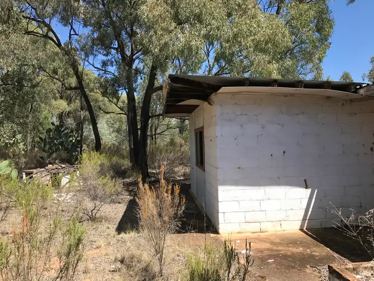Fifth view of Homely rural property listing, 551 Box Ridge Road, Binnaway NSW 2395