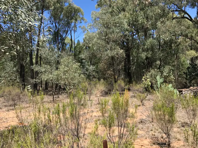 Sixth view of Homely rural property listing, 551 Box Ridge Road, Binnaway NSW 2395