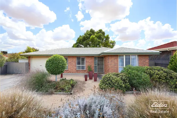 Main view of Homely house listing, 55 Haines Road, Willaston SA 5118
