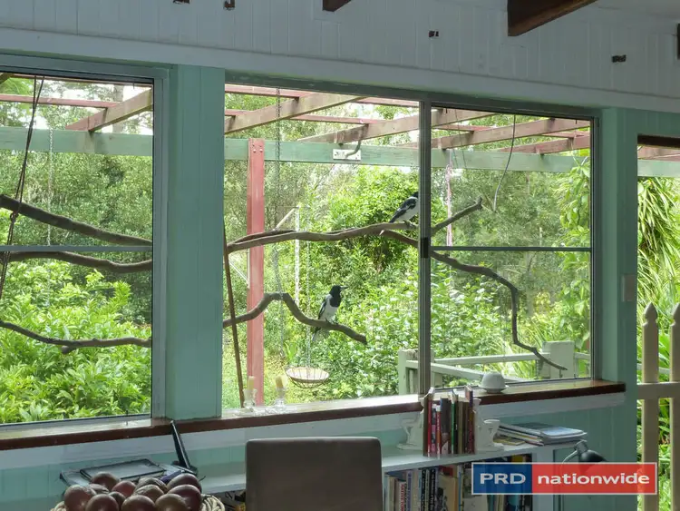 Seventh view of Homely rural property listing, 5327 Kyogle Road, Cawongla via, Kyogle NSW 2474