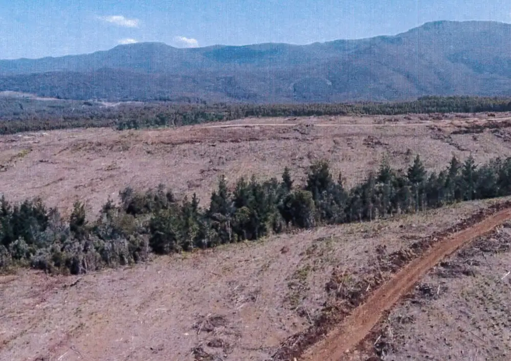 Main view of Homely rural property listing, - Loongana Road, Loongana TAS 7315