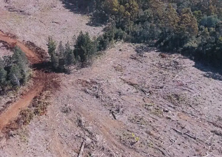 Second view of Homely rural property listing, - Loongana Road, Loongana TAS 7315