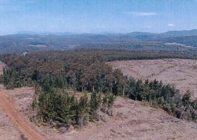 Third view of Homely rural property listing, - Loongana Road, Loongana TAS 7315