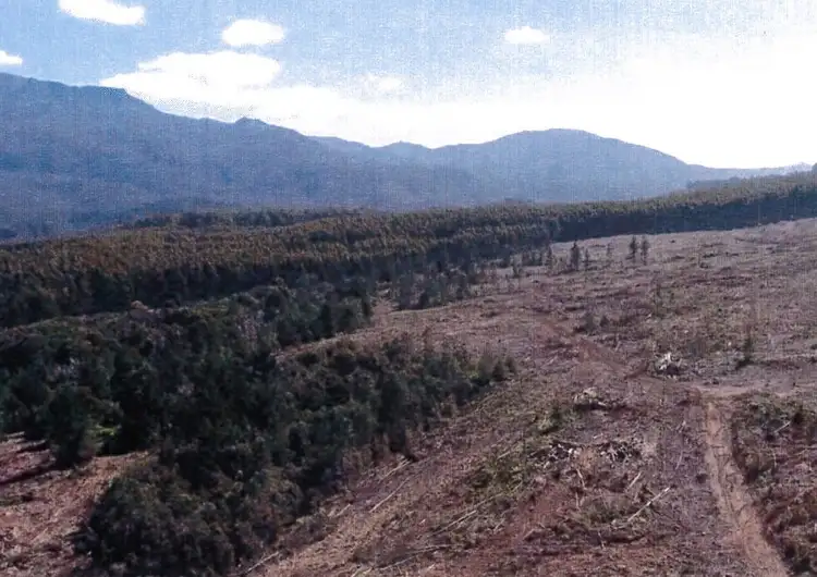 Fourth view of Homely rural property listing, - Loongana Road, Loongana TAS 7315