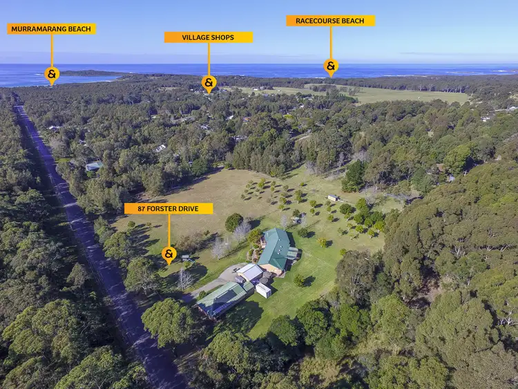Main view of Homely rural property listing, 87 Forster Drive, Bawley Point NSW 2539