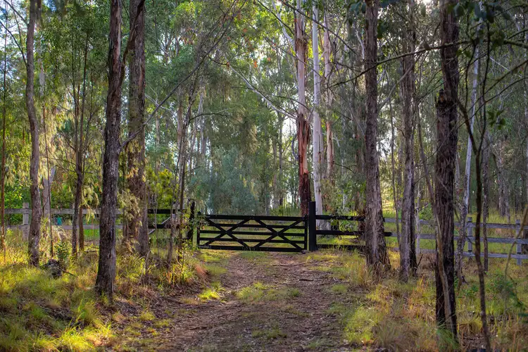 Second view of Homely rural property listing, 188 Enfield Range Road, Cooplacurripa NSW 2424