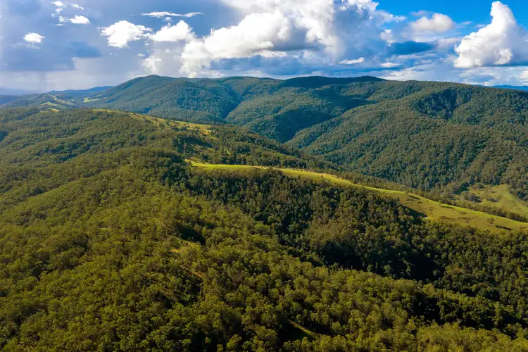 Fourth view of Homely rural property listing, 188 Enfield Range Road, Cooplacurripa NSW 2424