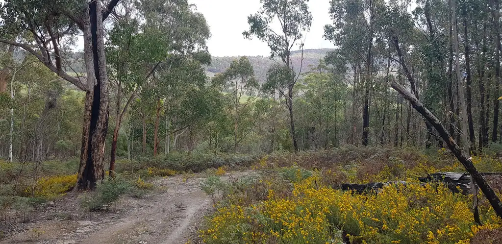 Main view of Homely land listing, 158A Ellendale Road, Westerway TAS 7140