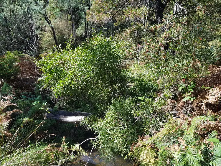 Seventh view of Homely land listing, 158A Ellendale Road, Westerway TAS 7140